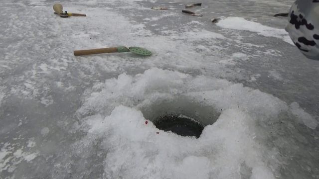 РЫБАЛКА на ЖЕРЛИЦЫ и НЕ ТОЛЬКО на ОЗЕРЕ МАЛОЕ МИАССОВОЕ смотреть онлайн