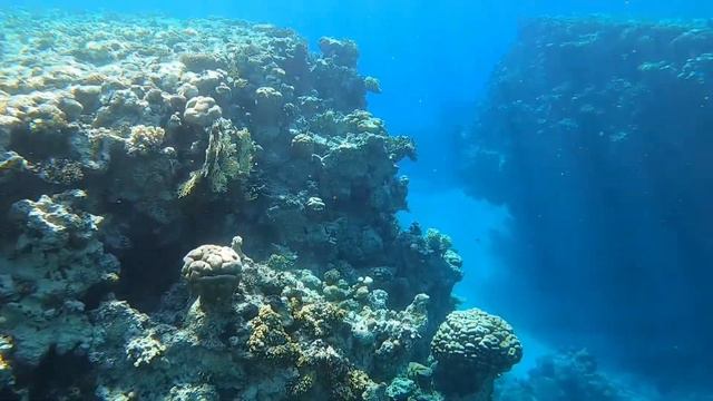 красное море смотреть онлайн