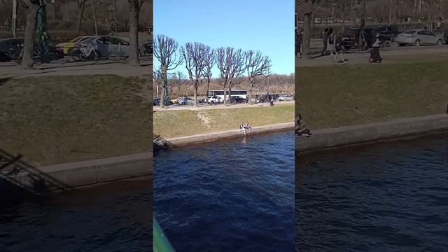 Санкт-Петербург вид с моста на реке Фонтанка возле Спаса на крови смотреть онлайн