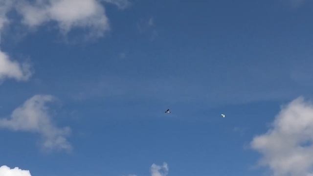 Classic vintage Junior 60 flying, powered by an ED MkIV 3.46cc diesel - 2 Channel Balsa RC Aeroplan смотреть онлайн