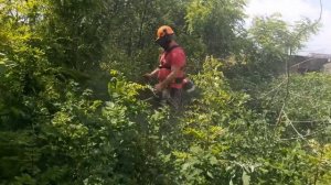 Husqvarna 555RXT VS Stihl fs 560 c-em which do you think is better?
