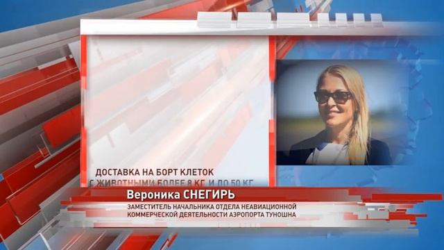«Я не багаж, я – пассажир»: специалисты рассказали, как правильно летать с домашними животными смотреть онлайн