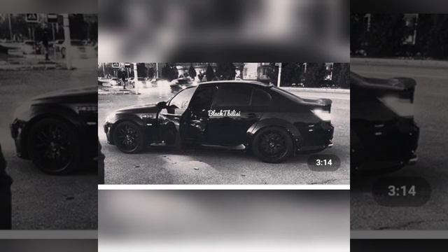 чёрный дельфин