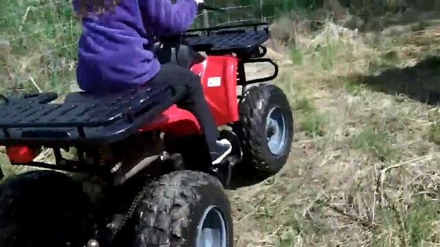 Kazuma Dingo 150cc
