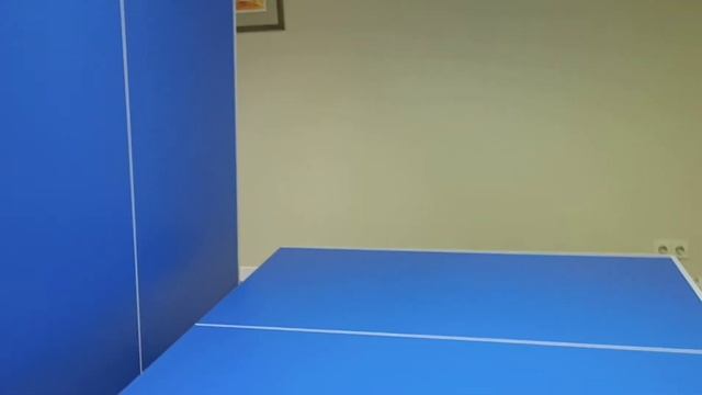 Обзор теннисного стола TopSpinSport Русич+ отзыв смотреть онлайн