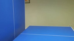 Обзор теннисного стола TopSpinSport Русич+ отзыв