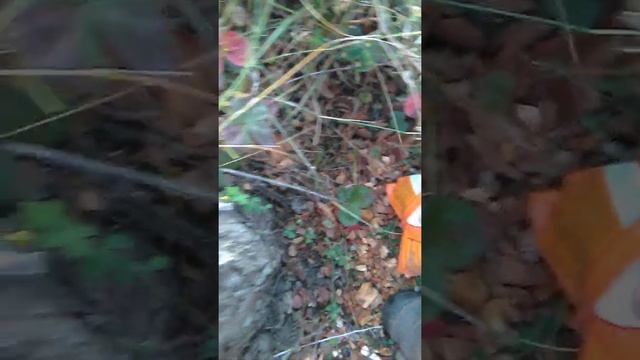 СтройИстории