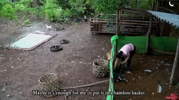 60 days busy harvesting spring crop - Go to the market to sell | Wild Forest Life