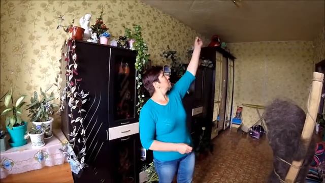 Яльчики: капитальный ремонт требует ремонта смотреть онлайн