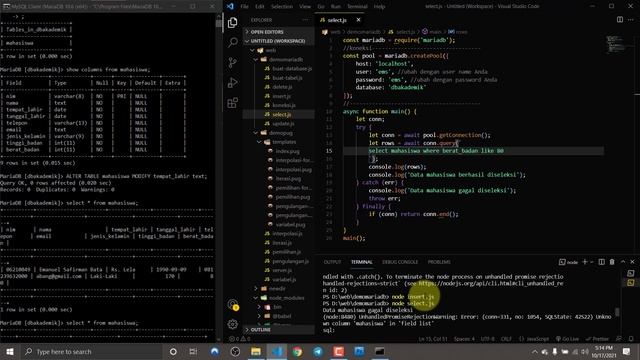 #44. Seleksi data pada MariaDB dengan Node.js смотреть онлайн