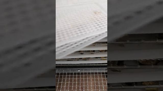 Обзор дигедратора 2 часть смотреть онлайн