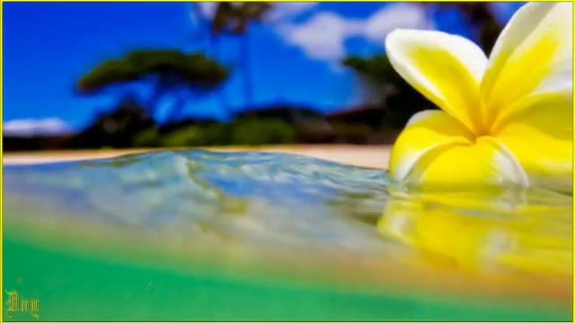 Medley Tahitien Trio Efernal смотреть онлайн