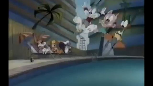 Tiny Toon Adventures Spring Break Special-Nothing Can Be More Fun смотреть онлайн