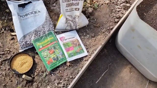 Теплица осенью: чем помыть, как подготовить грядки и как сделать защиту от болезней и вредителей смотреть онлайн