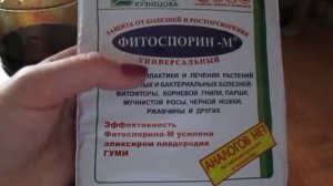 Фитоспорин-М Для растений. Как правильно использовать.