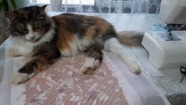 Коврик для швейной машинки. смотреть онлайн