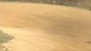 Жажда скорости