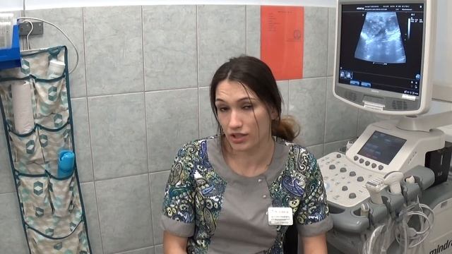 26.01.18 У кота сухие фекалии смотреть онлайн