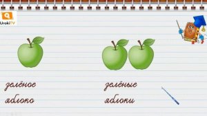 Единственное и множественное число имен прилагательных. Русский язык 2 класс