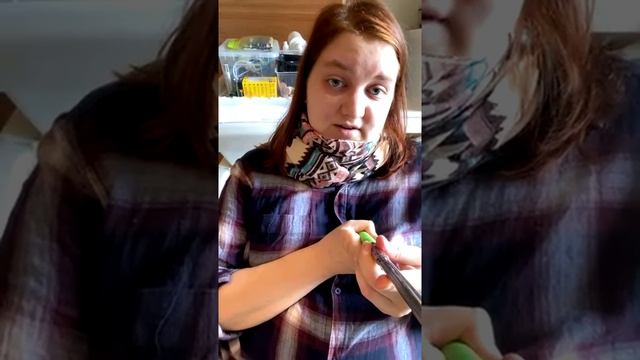 Стрим "Гид по экологичной жизни: живём без мусора" смотреть онлайн