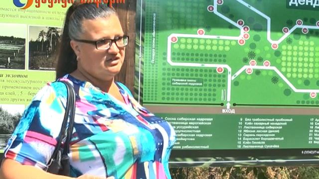 История дендросада… или как обмануть Лешего? смотреть онлайн