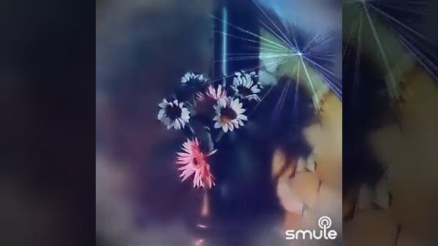 БЕЛАЯ ЧЕРЁМУХА ДУШИСТАЯ... смотреть онлайн