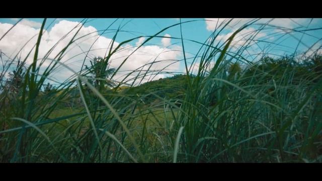 DJI ACTION 3 (FILM TEST) Should you buy it? смотреть онлайн