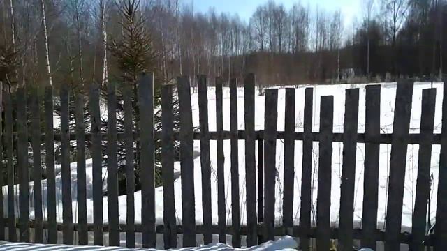 Элгон - не наш вариант. смотреть онлайн