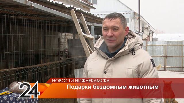 Дед Мороз посетил приют для бездомных животных смотреть онлайн