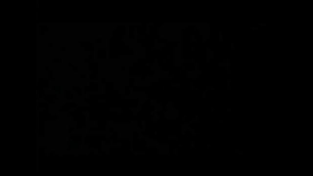 Tan Natural -  Felipe Pelaez (((Letra)))