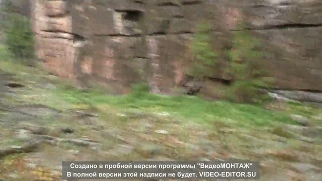 Мамонт в сибирской тайге смотреть онлайн