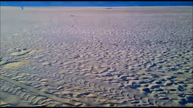 Открытие сезона с металлодетектором