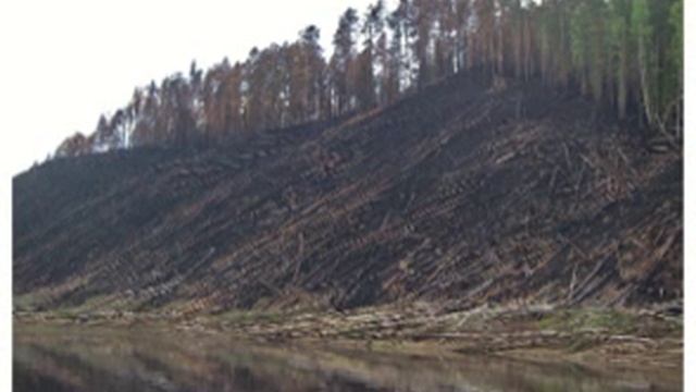 Лес и БоГЭС. Фотоматериал Виталия Сквоша смотреть онлайн