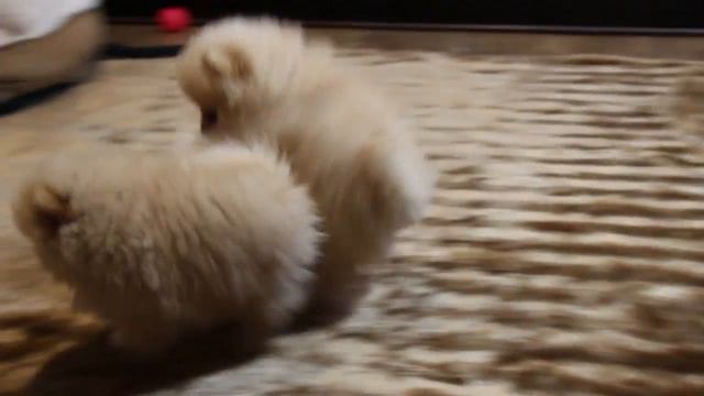 Малышкам 2 месяца смотреть онлайн