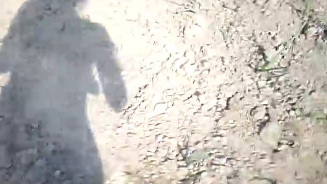 Дом отдых на даче.Смотреть видео на SofSen TV. The house rest at the dacha смотреть онлайн