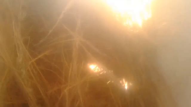 Крольчиха готовит гнездо))) смотреть онлайн