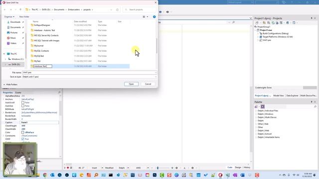 FireDAC in Delphi: First Look