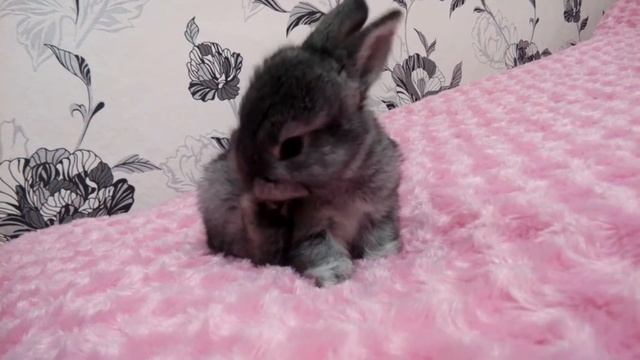 Малышу 1 месяц. смотреть онлайн