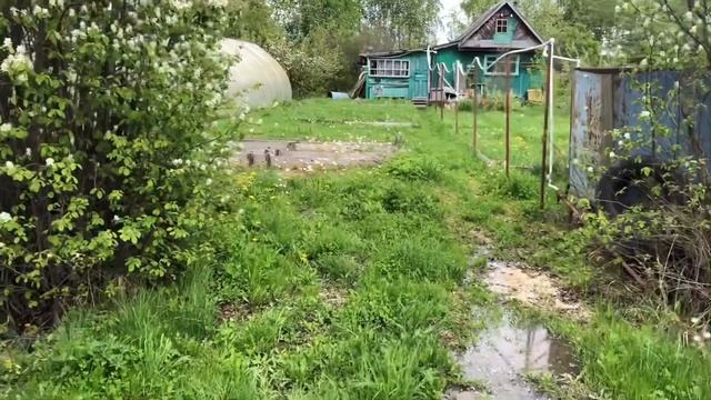 VLOG:ПОСАДИЛИ ГОРОХ/?ДЕНЬ РОЖДЕНИЯ У МУЖА:ГОТОВЛЮ САЛАТЫ/ЧТО ПОДАРИЛИ ?? смотреть онлайн