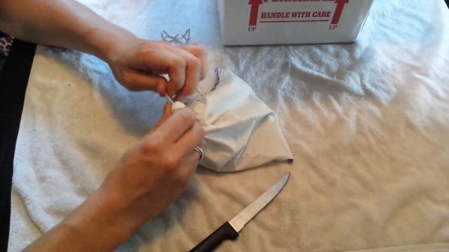 Ball python unboxing 3 new additions смотреть онлайн