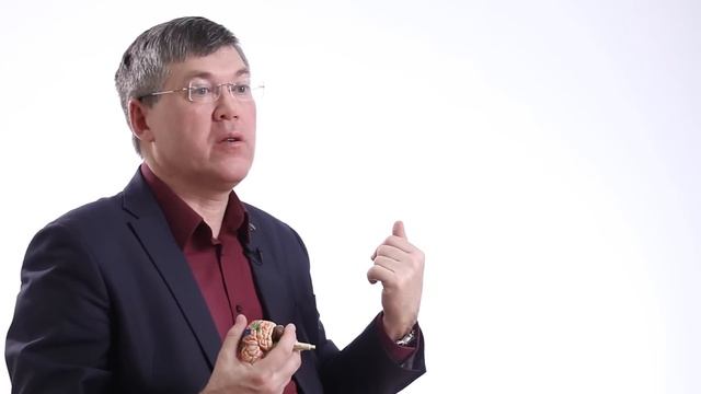Мозговые центры обучения и памяти — Вячеслав Дубынин смотреть онлайн