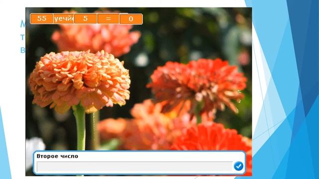 Мои программы в Scratch смотреть онлайн