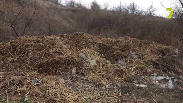 NORMALNO № 85. КУЯЛЬНИК: КУРОРТНАЯ ГЛУШЬ НАЦИОНАЛЬНОГО МАСШТАБА смотреть онлайн