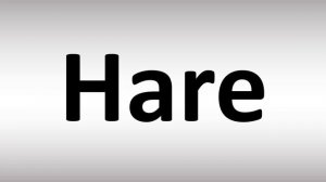 How to Pronounce Hare