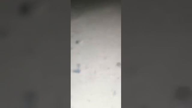 замена масла и промывка двигателя уайт-спиритом на greatwallhoverh6haval h 6 часть 2 смотреть онлайн