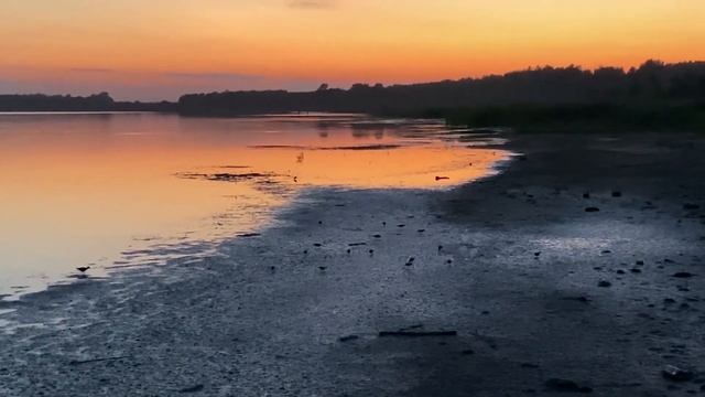 ЛЕТНИЙ ВЛОГ: ПОКУПКИ WILDBERRIES | ПОЕЗДКА НА ОЗЕРО смотреть онлайн