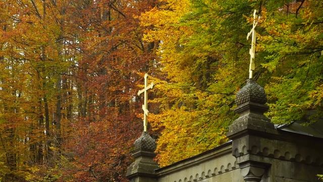 Воспитанники воскресной школы посетили мужской монастырь святых Космы и Дамиана смотреть онлайн