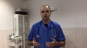 Рана у кошки или собаки. Чем обработать, как лечить самостоятельно