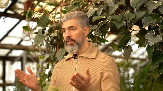 Как защитить сад и огород от вредителей? Дёготь сапропелевый Пуршат.
