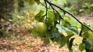 Село Воскресенское Ярославская область